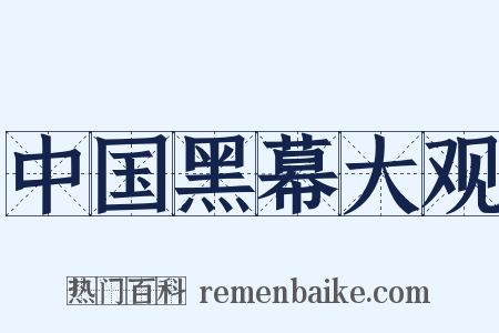 中国黑幕大观是什么意思的图片